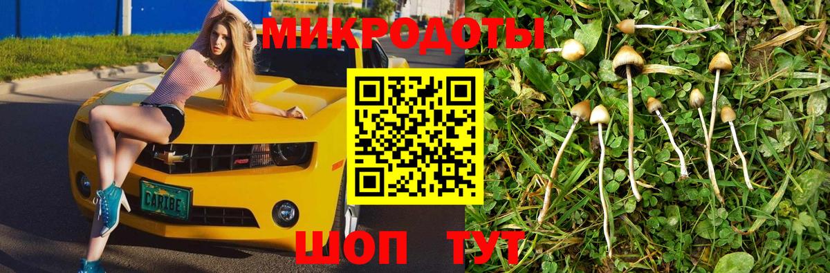 Псилоцибиновые грибы MAGIC MUSHROOMS Северск