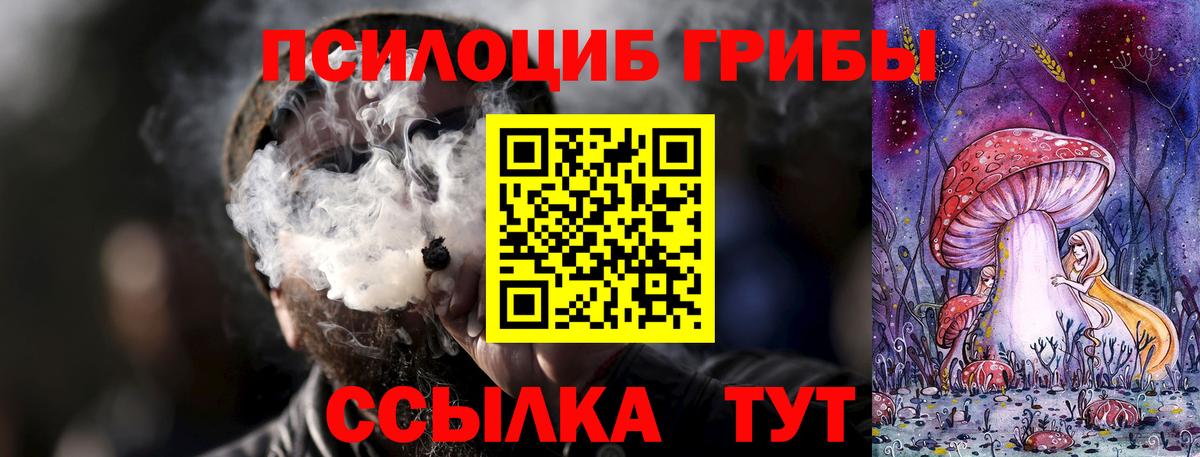даркнет сайт  Вход с VPN  Северск  Псилоцибиновые грибы Psilocybe 